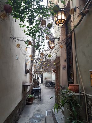 The entrance #Veganuary at AhimSa Vega-Yoga in Belgrade