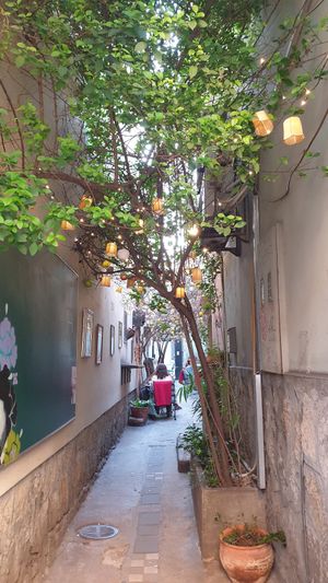 Entrance through a bar patio at AhimSa Vega-Yoga in Belgrade