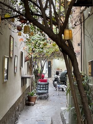   at AhimSa Vega-Yoga in Belgrade