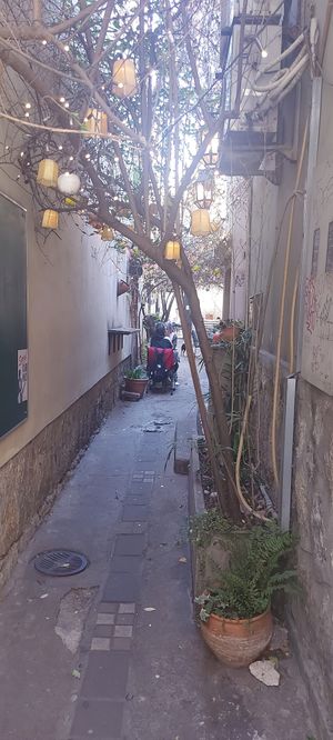  at AhimSa Vega-Yoga in Belgrade