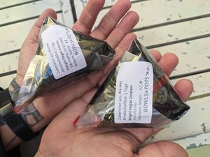 Vegan onigiri at Bowls & Pots by Maykay in Graz