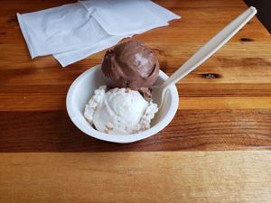 Coconut and chocolate vegan ice cream at The Parlour in Durham