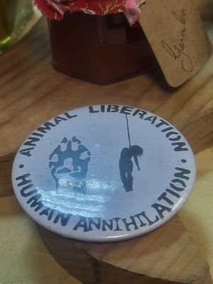  at Lupin Snack Bar in Porto