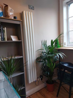 Fika+ Chester #Veganuary at Fika+ in Chester