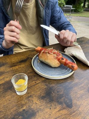 Vegan hot dog my son said too much like meat which is odd as he has never eaten meat    at Fika+ in Chester