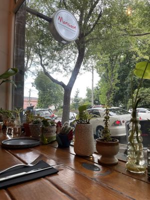   at Monsoon in Launceston