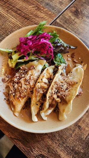 Vegan gyoza at Monsoon in Launceston