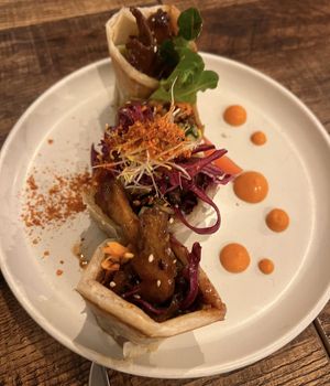 Vegan spicy ‘duck’ roti  at Monsoon in Launceston