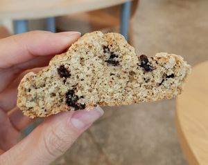 Earl grey chocolate scone - size at Wholesome 홀썸 in Seoul