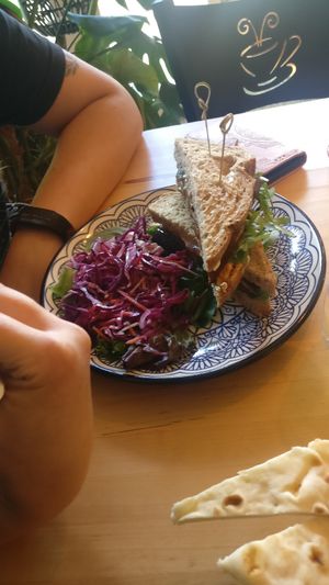  at The Magic Sunflower in Dronfield