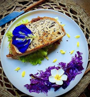 Cheese sandwich  #Veganuary at Nora's Cafe in Phu Quoc