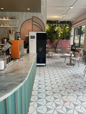   at Paradeco Coffee Roasters in St Petersburg