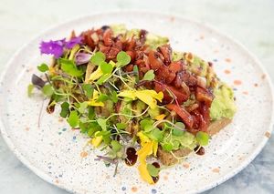 The classic avocado toast with Brick Street Farms Microgreens, tomatoes, and Italian balsamic  at Paradeco Coffee Roasters in St Petersburg