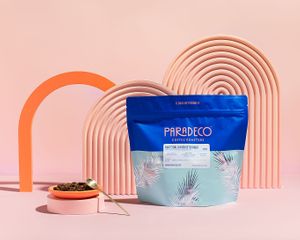  at Paradeco Coffee Roasters in St Petersburg