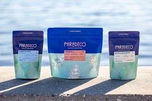  at Paradeco Coffee Roasters in St Petersburg