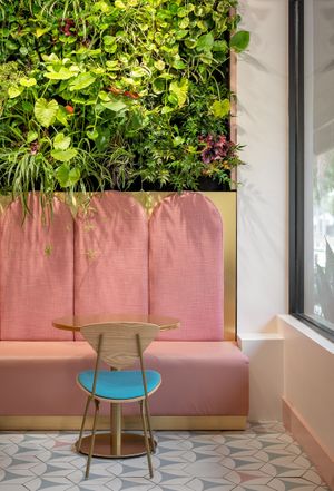  at Paradeco Coffee Roasters in St Petersburg