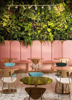  at Paradeco Coffee Roasters in St Petersburg