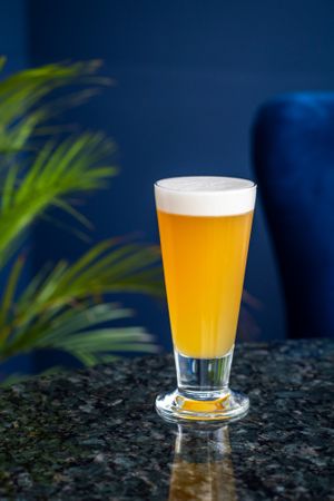 Iced Tea Fizz “Ginger from the Sun”
Cold infusion of ginger from the sun sweetened with our homemade orange syrup,
ice and kombucha made of organic black tea steeped in jasmi at Biofilia - Botánica Coffee House in La Paz