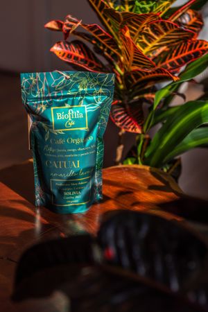 Bolivian Organic Specialty Coffee  at Biofilia - Botánica Coffee House in La Paz