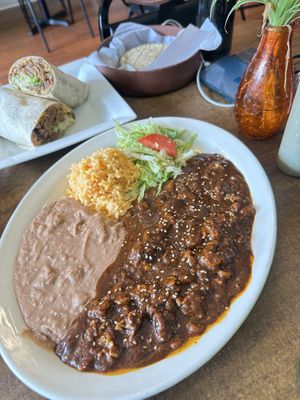 Sunday mole special!   at Quesadilla La Reina Del Sur in Chicago