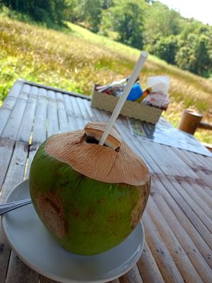 Coconut fresh at Rabbit Bungalow in Koh Phayam