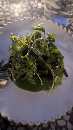 Chargrilled asparagus w/pea veloute & tarragon $25.00: delish chargrilled taste, the sauce was nice and fresh at Patsy's in Melbourne