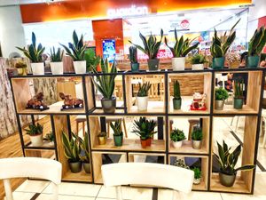 Nice deco at Veggie House 一芳 - Tai Seng in Central Singapore