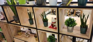 Decor in the store at Veggie House 一芳 - Tai Seng in Central Singapore