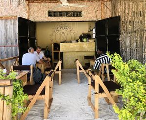 first month  at The Plants in Zanzibar