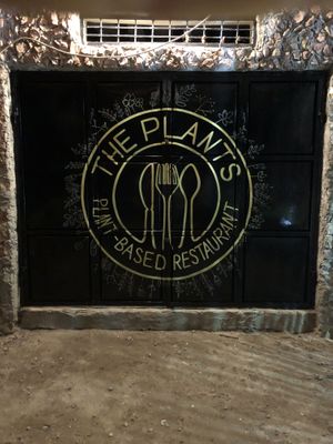 night  at The Plants in Zanzibar