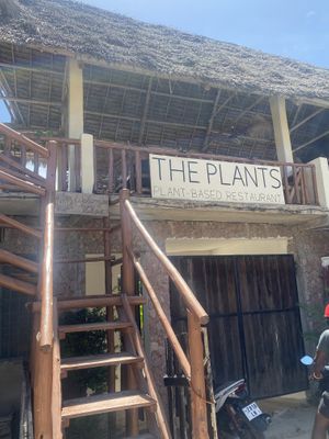   at The Plants in Zanzibar