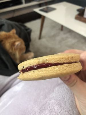 Raspberry jammer   at Ben & Esther's Vegan Jewish Deli in San Diego