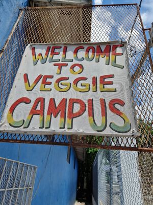 at Veggie Campus in Kingston