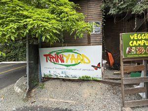 Follow the sign  at Veggie Campus in Kingston