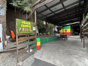 The very last vendor  at Veggie Campus in Kingston