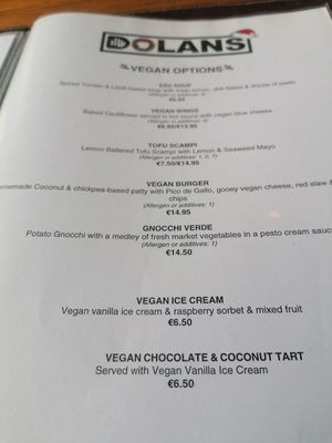 Full vegan menu at Dolan's Pub and Restaurant in Limerick