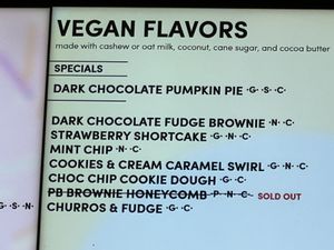 Choices   at Van Leeuwen Ice Cream - 253 Columbus Ave in New York City