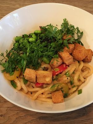 Asian udon bowl with tofu, edamame and coriander  at Cały Gaweł Cantine Bar Cafe in Sopot