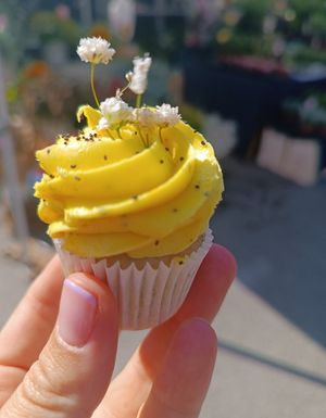  at Lilium Cakery in North West London