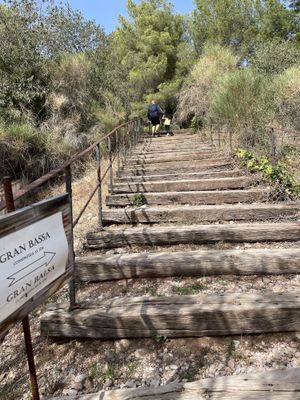 Bassa stairs  at Vinyanova in El Bruc