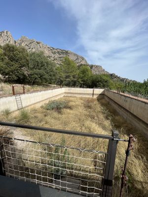 Bassa dry  at Vinyanova in El Bruc