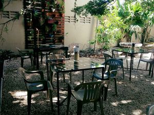 Garden at Las 3 Puertas in Cancun