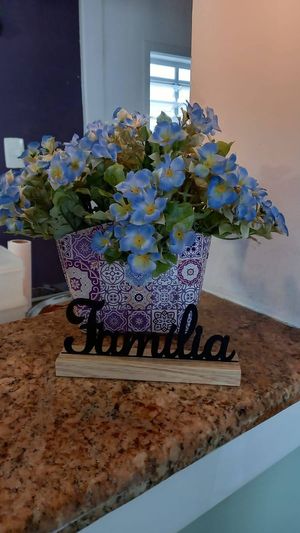  at Mamma Veg Floripa in Florianopolis