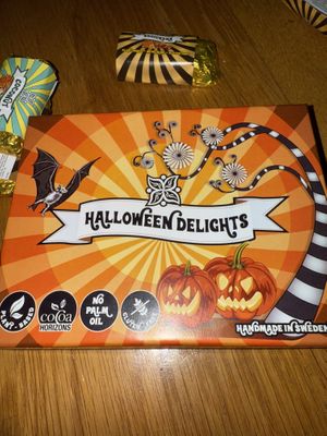   at Vegan Delights Chocolate Factory in Uppsala