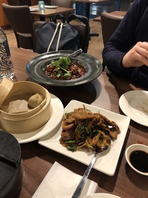 ‚beef‘ in chili oil (in the back), stir fried ‚lamb‘, and the last of three ‚pork‘ dumplings on the left   at Vegan Planet in North West London