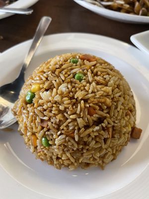   at Vegan Planet in North West London