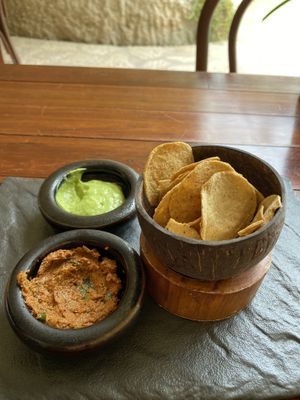   at BIO at Xcaret Mexico in Playa Del Carmen