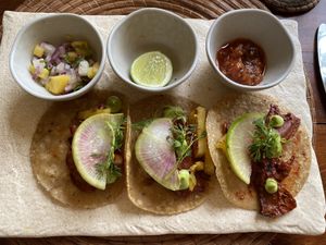   at BIO at Xcaret Mexico in Playa Del Carmen