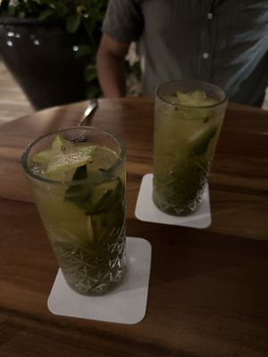   at BIO at Xcaret Mexico in Playa Del Carmen