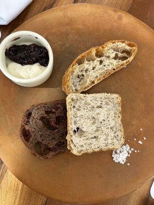   at BIO at Xcaret Mexico in Playa Del Carmen